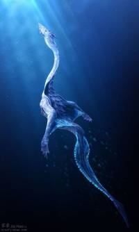 dragon-des-mers.jpg dragon-des-mers.jpg